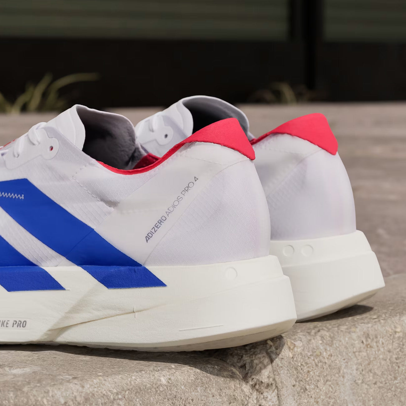 adidas Adizero Pro 4 M męskie Off White Royal Blue