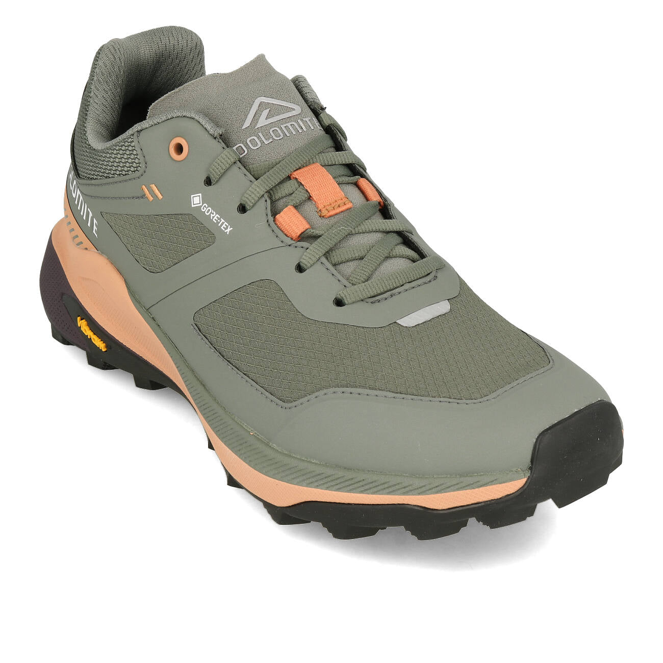 Dolomite Nibelia W`s GTX Damskie Silver Green Sand Pink