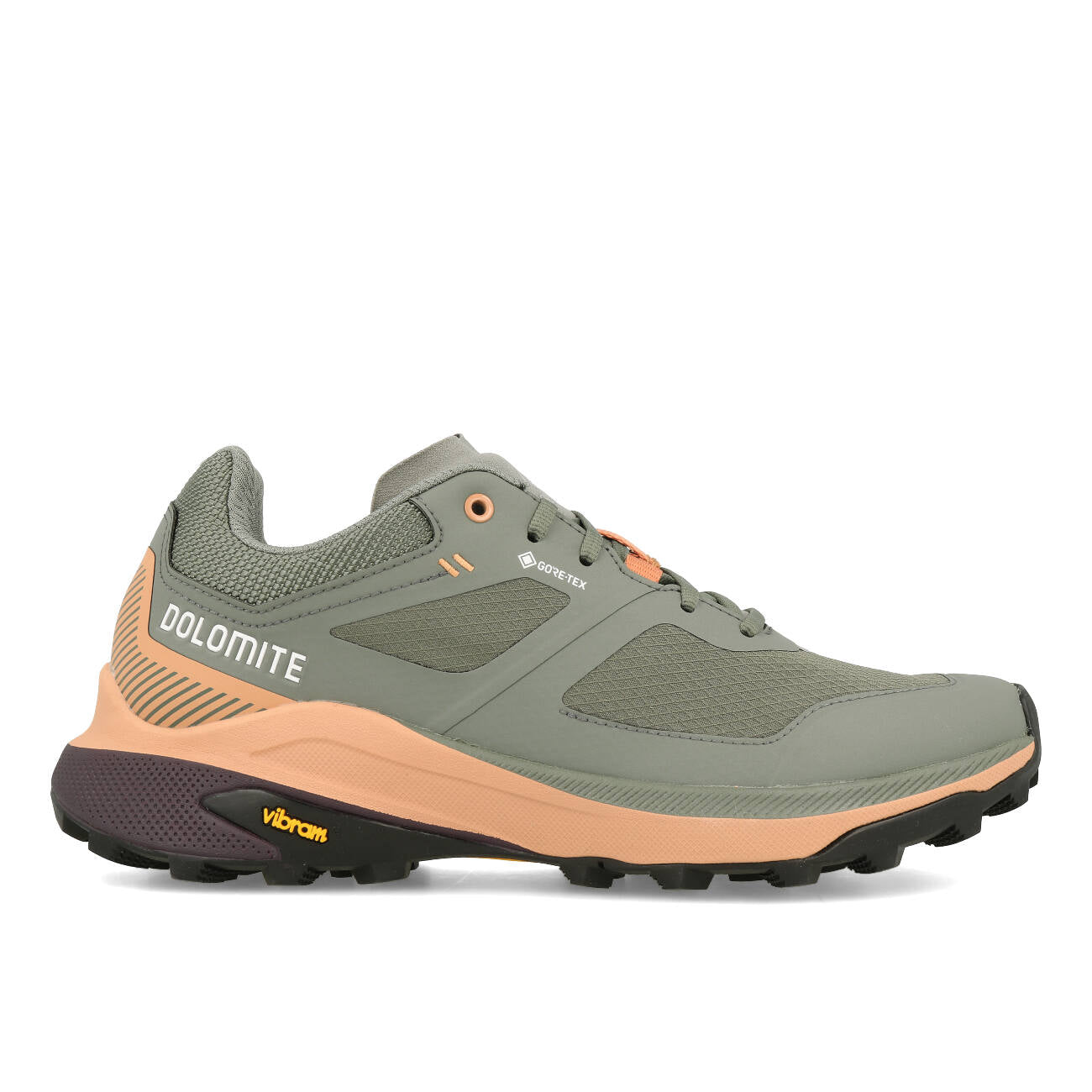 Dolomite Nibelia W`s GTX Damskie Silver Green Sand Pink