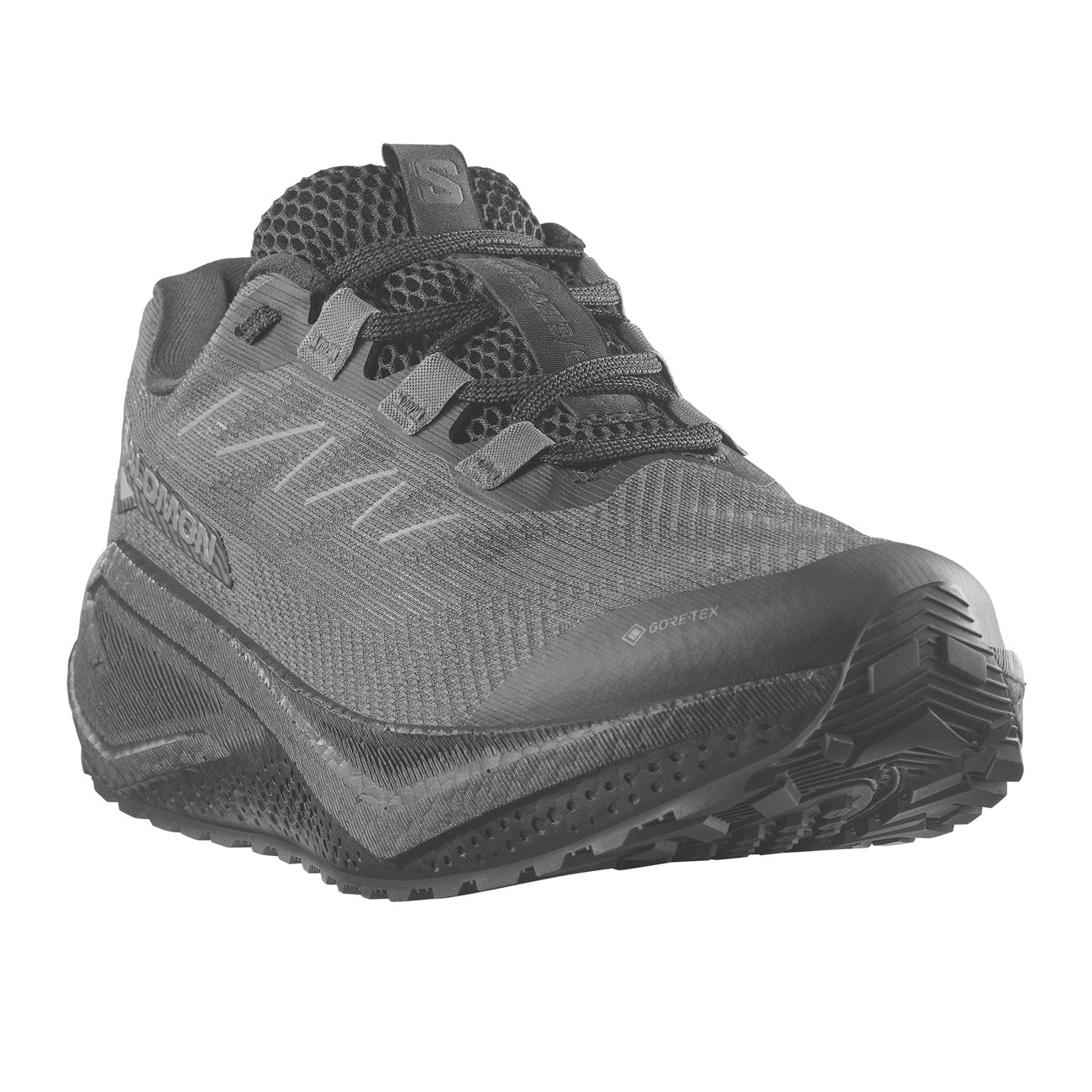 Salomon Aero Blaze 3 GRVL GTX Damskie Black Aspha